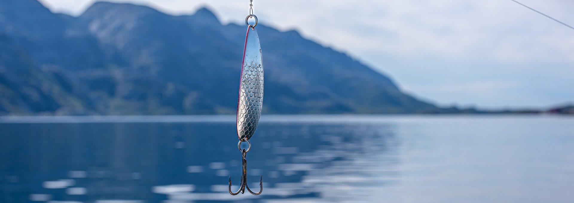 Alberta Fishing Regulations